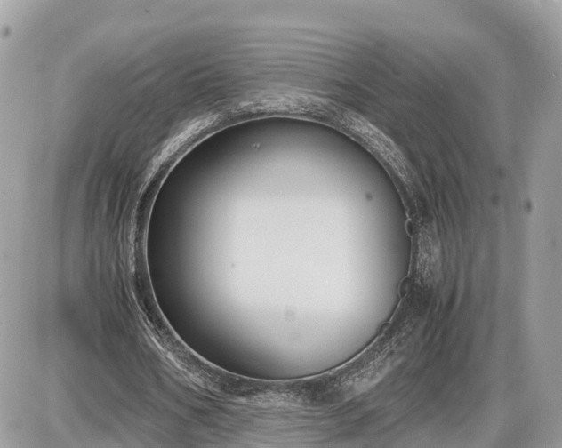 X0000087540578200705041305