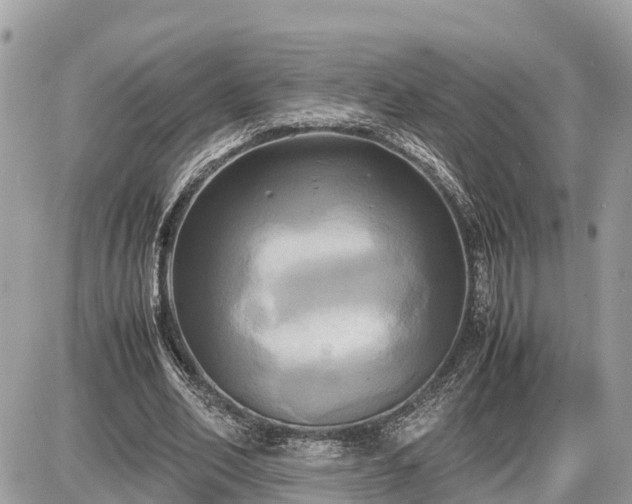 X0000087540582200705041305