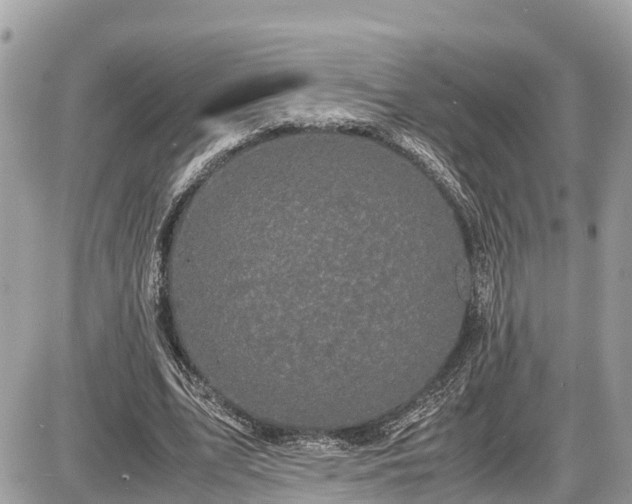 X0000087540583200705041305