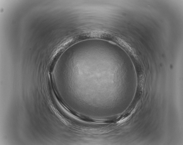 X0000087540589200705041305