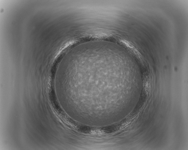 X0000087540591200705041305