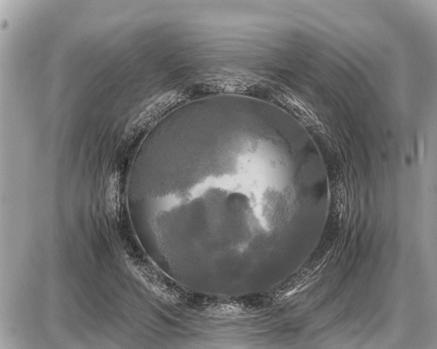 X0000087540594200705041305