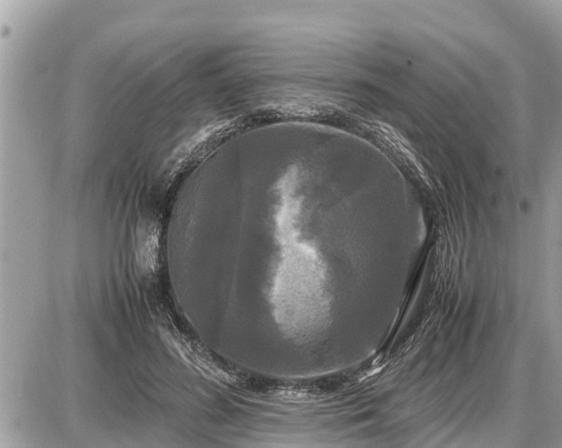 X0000087540596200705041305