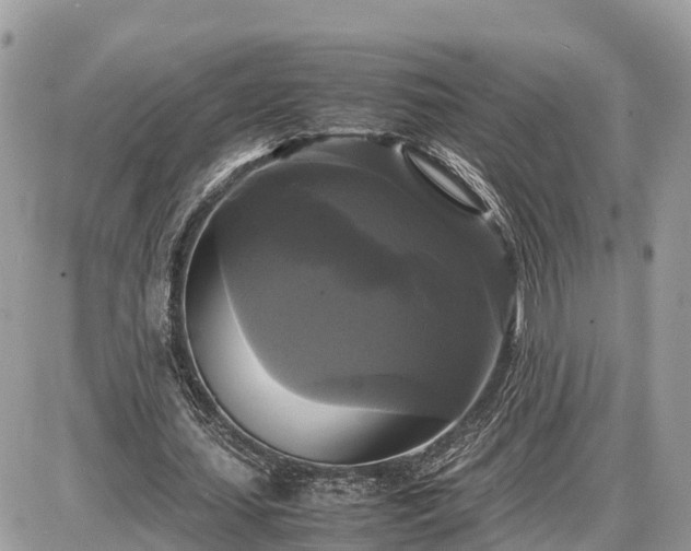 X0000087540627200705041303