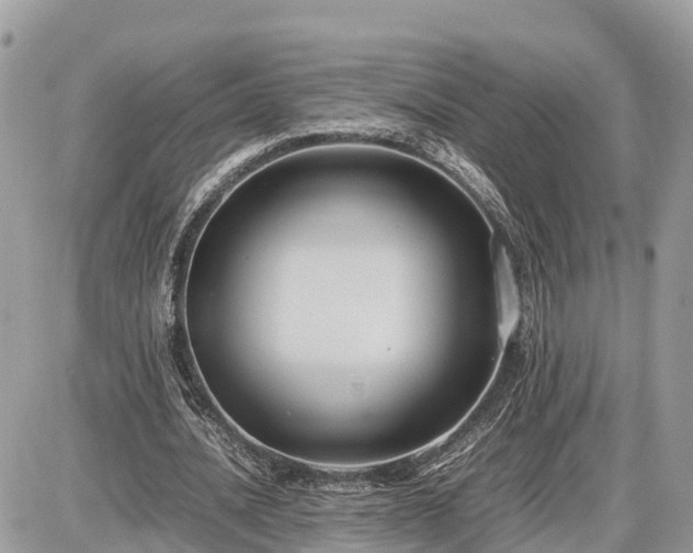 X0000087540628200705041303