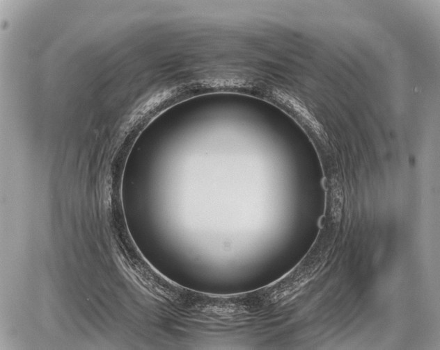 X0000087540631200705041303