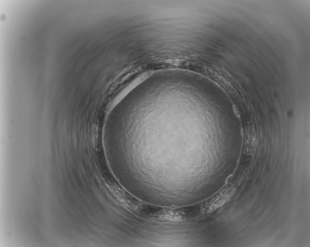 X0000087540656200705041304