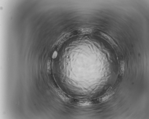 X0000087540667200705041304