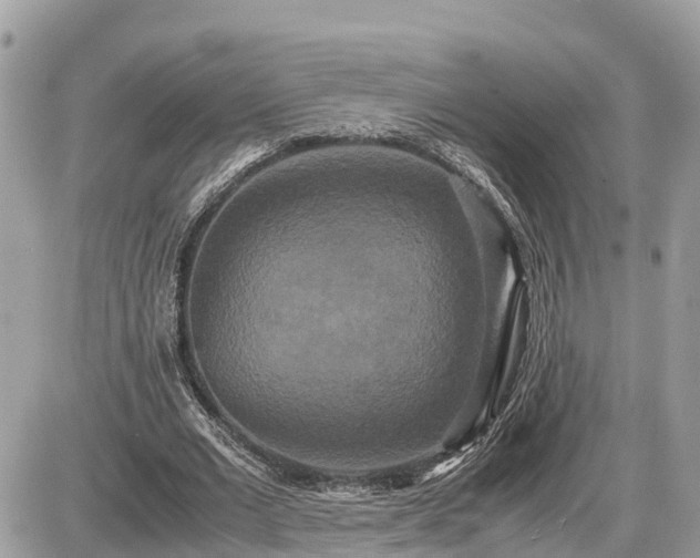X0000087540677200705041303