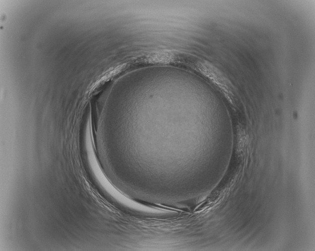 X0000087540681200705041303
