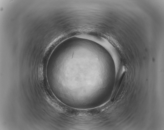 X0000087540684200705041303