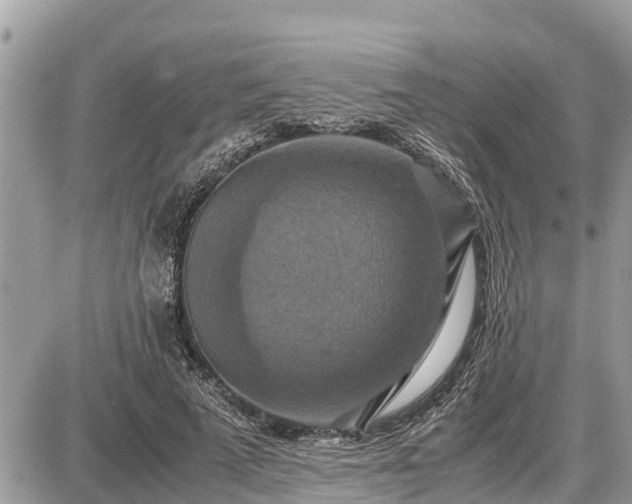 X0000087540689200705041303