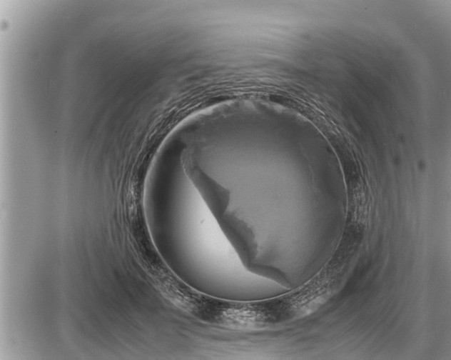 X0000087540699200705041303
