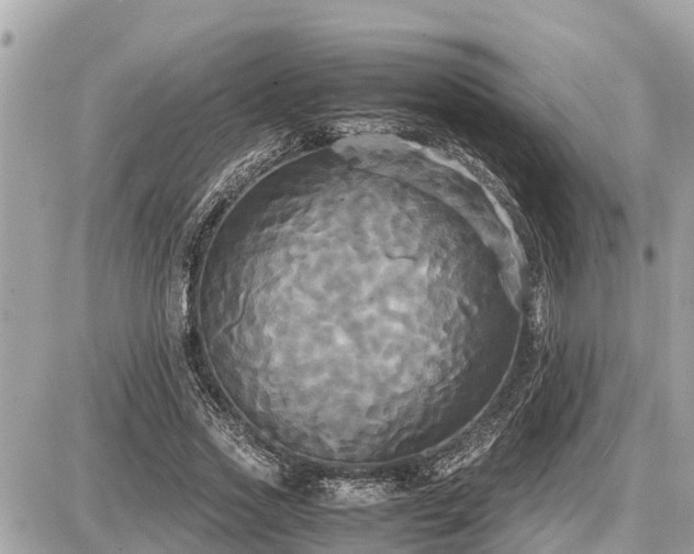 X0000087540733200705041302