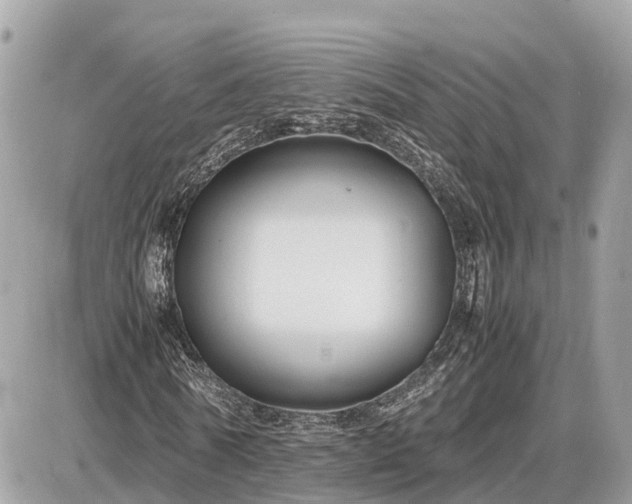 X0000087540770200705041302