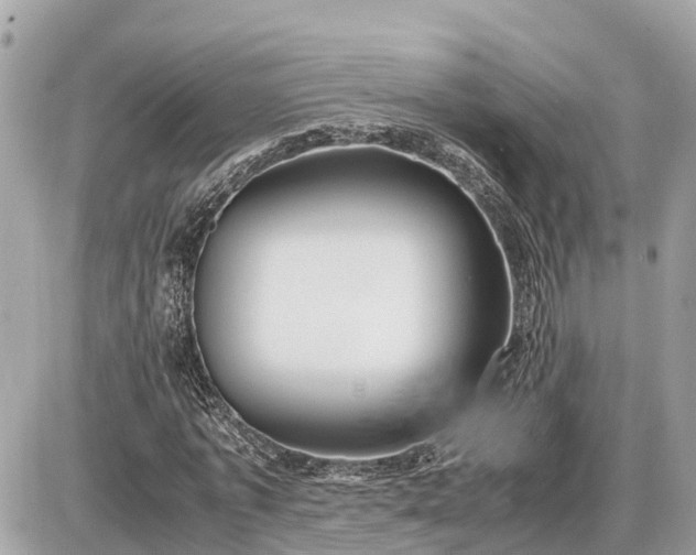 X0000087540773200705041302