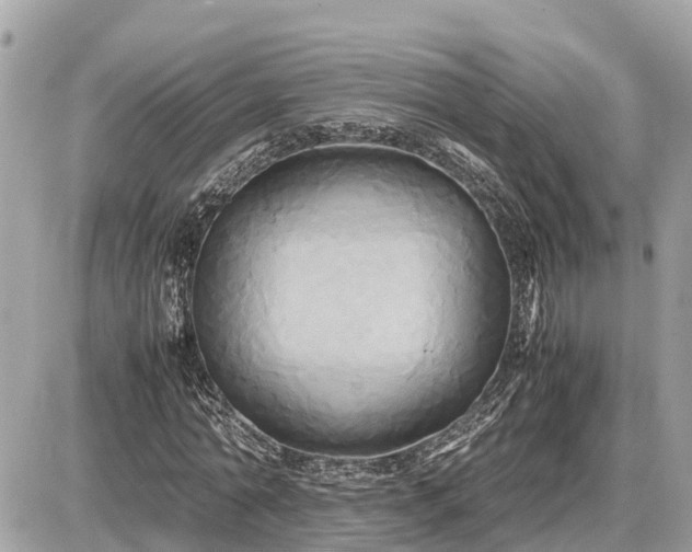 X0000087540774200705041302