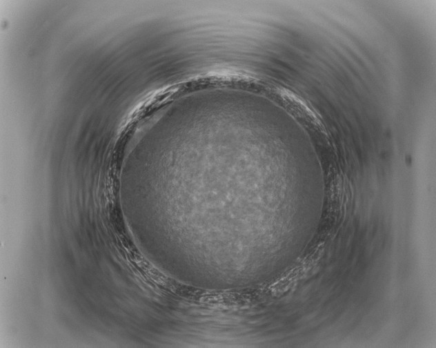 X0000087540776200705041302