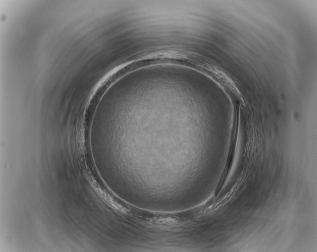 X0000087540784200705041302