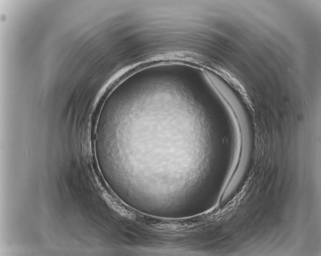 X0000087540792200705041301