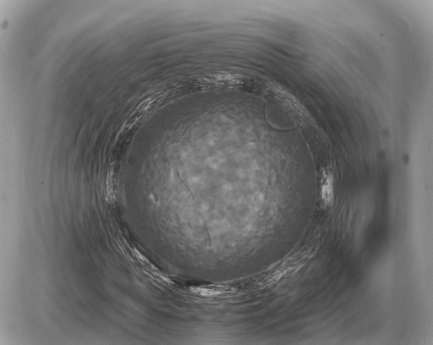 X0000087540819200705041300