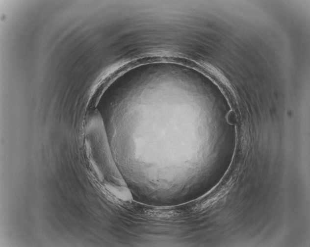 X0000087540831200705041300