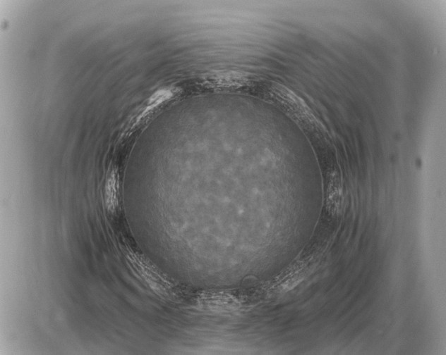 X0000087540866200705041300