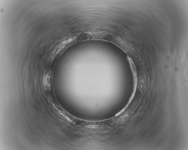 X0000087541010200705041257