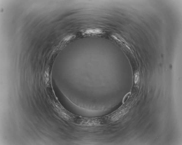 X0000087541011200705041257