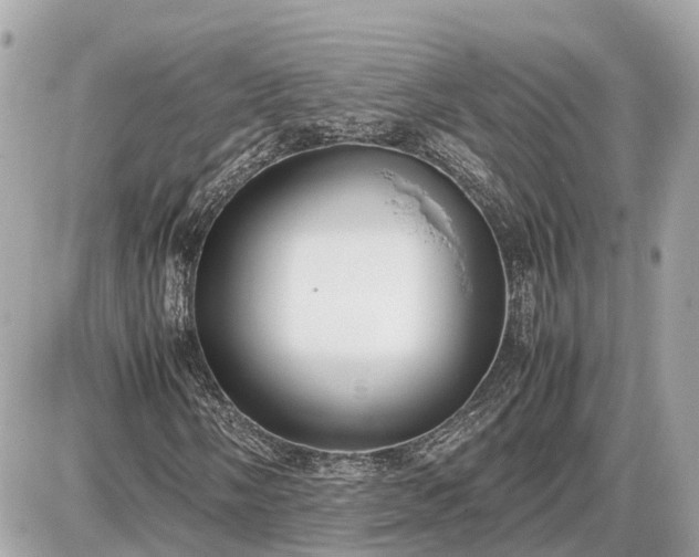X0000087541058200705041257