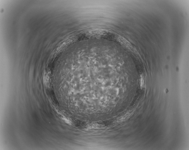 X0000087541059200705041257
