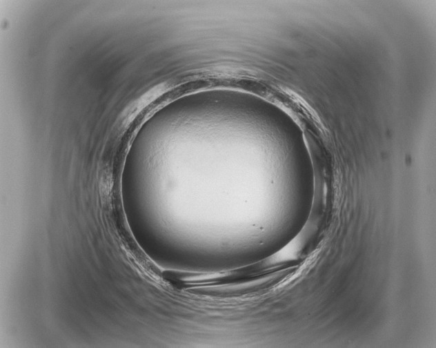X0000087541065200705041257