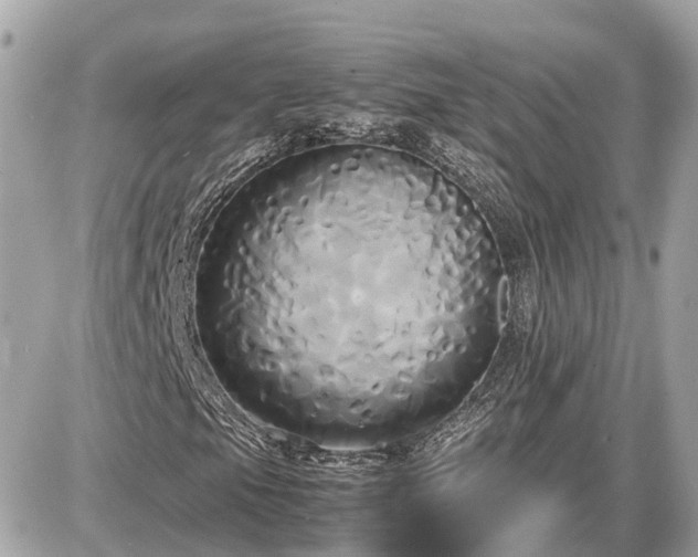 X0000087541105200705041256