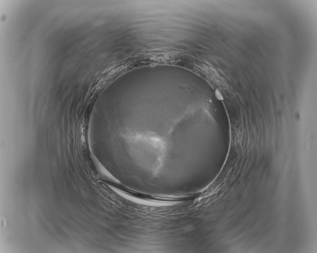 X0000087541106200705041256