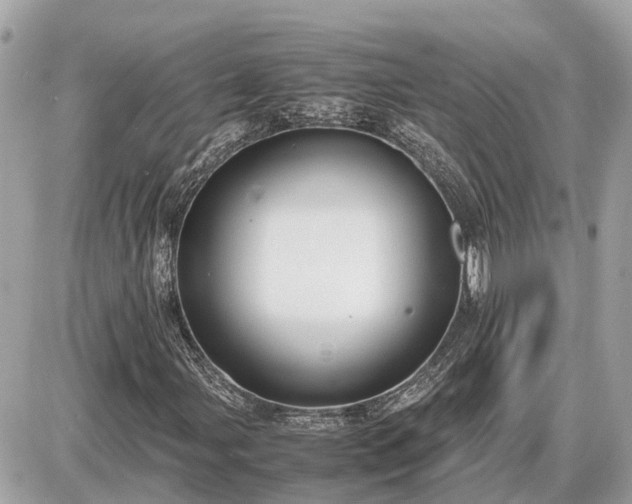 X0000087541107200705041256