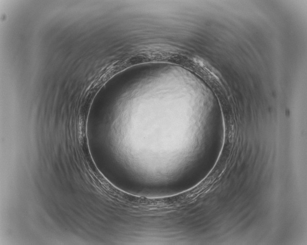 X0000087541108200705041256