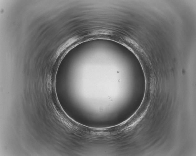 X0000087541113200705041256