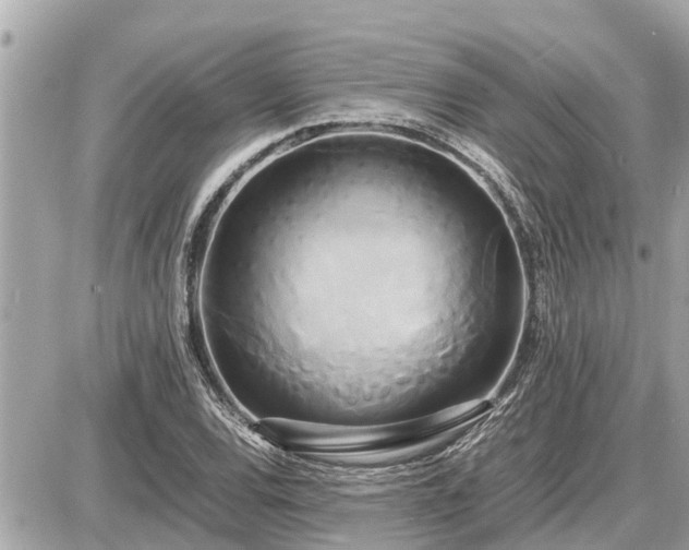 X0000087541120200705041256