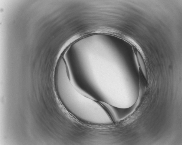 X0000087541138200705041256
