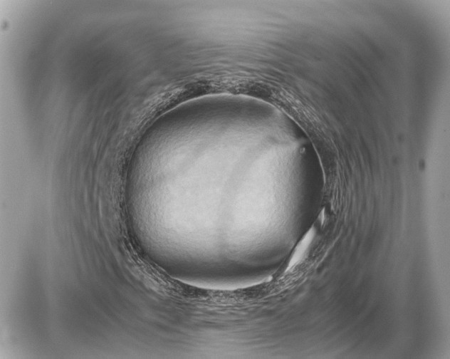 X0000087541153200705041255