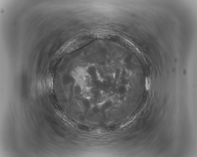 X0000087541155200705041255
