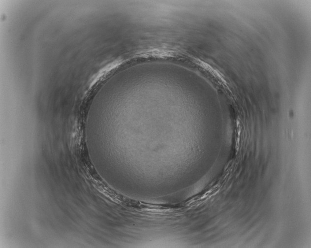 X0000087541160200705041255