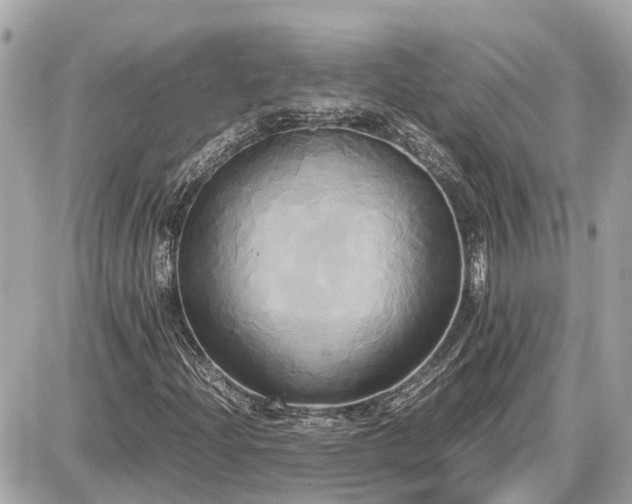 X0000087541204200705041254
