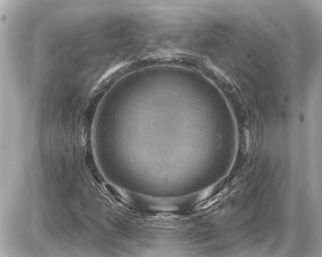 X0000087541206200705041254