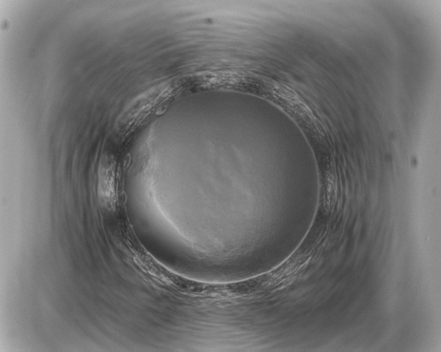 X0000087541250200705041254