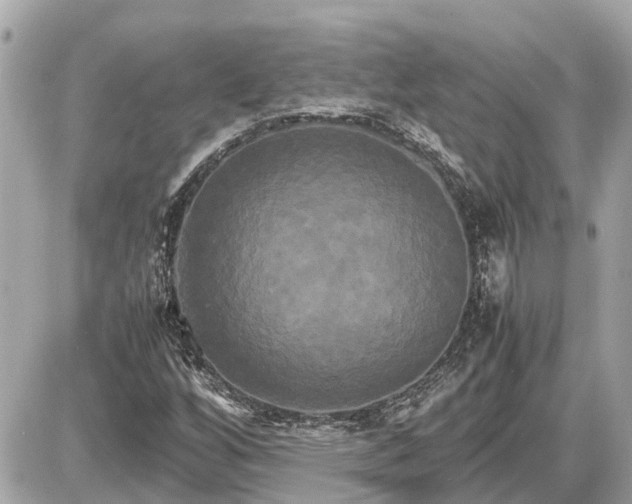 X0000087541256200705041254
