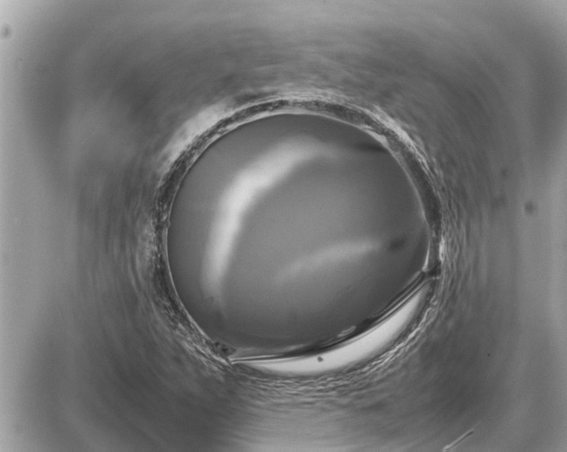 X0000087541263200705041254