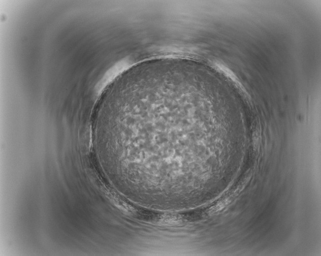 X0000087541267200705041254