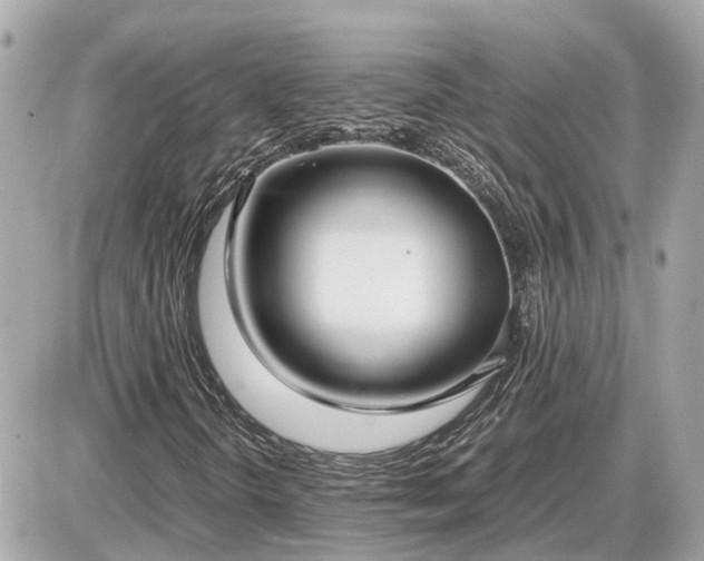 X0000087541298200705041252