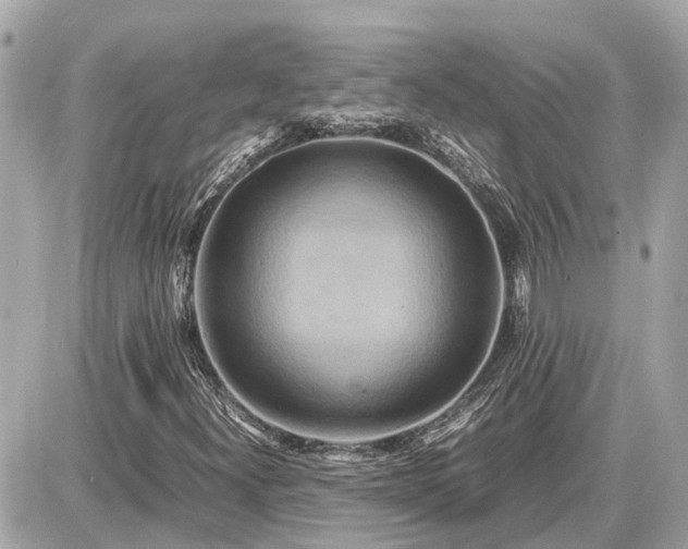 X0000087541300200705041252